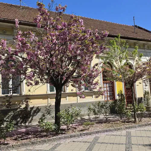 Nagymaros Apartman 005 kép