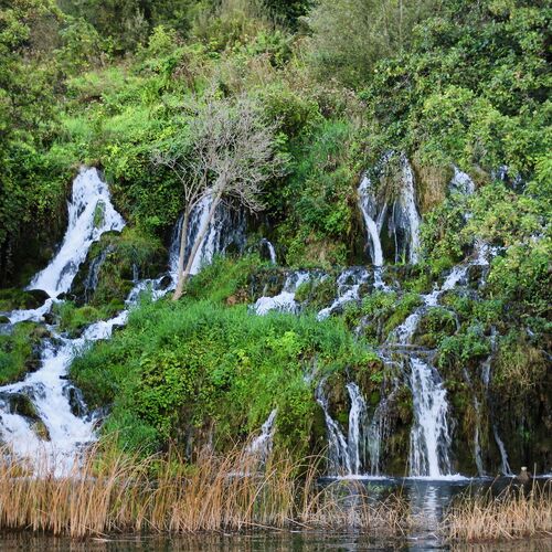 Apartment Stay near Krka Bilice  2