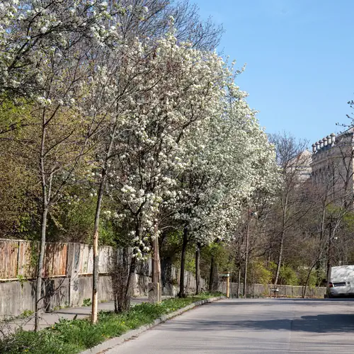 Madárfészek Apartman Budapest 013 kép