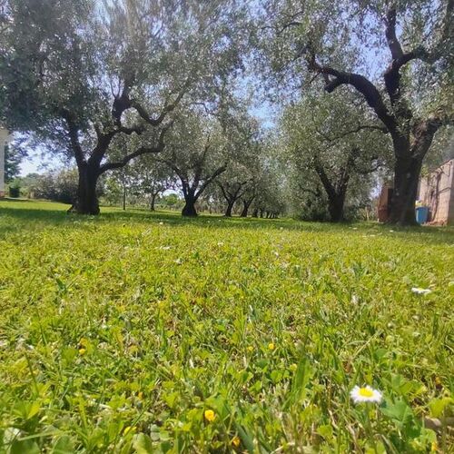 Nyaralóház Parkolóhellyel Lovrecica, Umag - 23101 Lovrečica  3