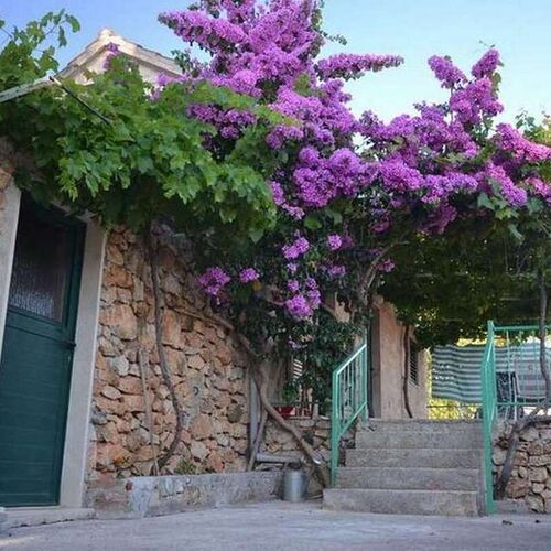 Apartmanok Parkolóhellyel Murvica, Brac - 23462 Murvica  2