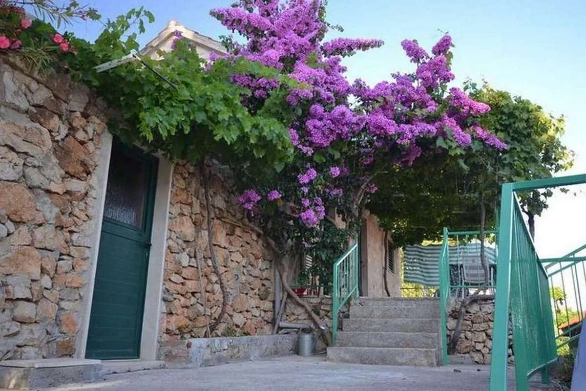 Apartments With Parking Space Murvica, Brač - 23462 Murvica