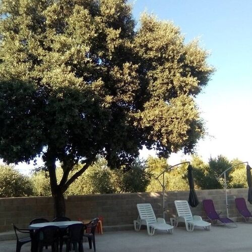 Apartmanok Elszigetelt Helyen Vir - 23773  4