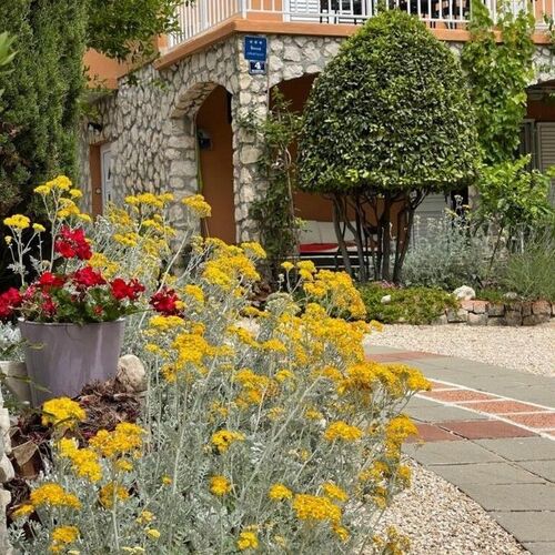 Apartmanok Parkolóhellyel Novalja, Pag - 23808 Novalja  3