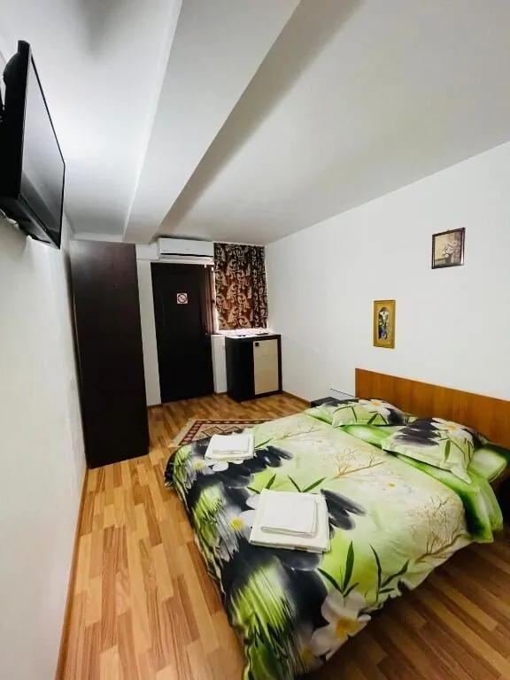 Casa Camelia Dubova