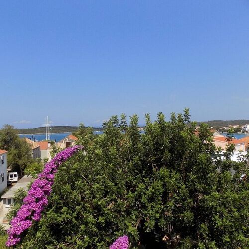 Apartment Ljube Loviste  3