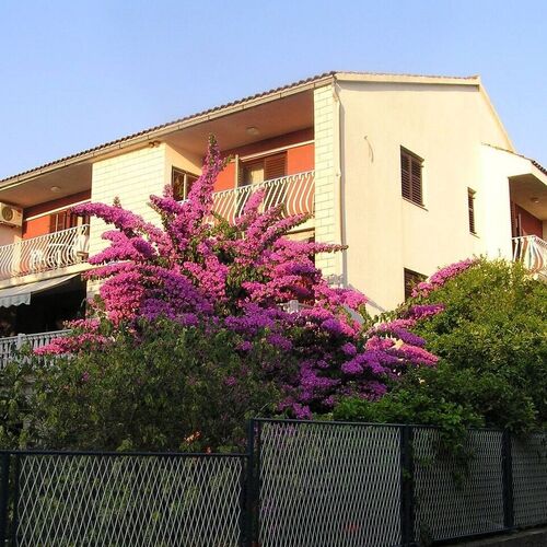 Apartment Ljube Loviste  2