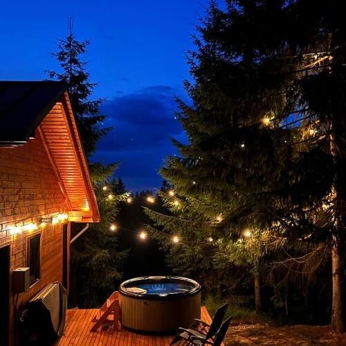 Forestia - Modern cabin with hot tub and sauna Dealu Negru