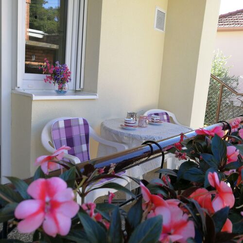 Apartment Petunija Zadar  4