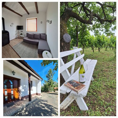 Mi kis lakunk Vendégház Várdomb