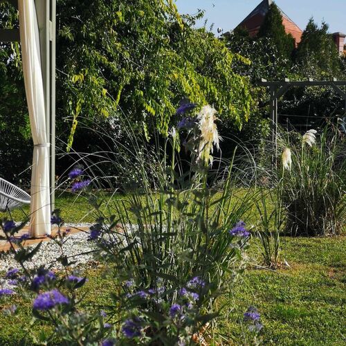 Lelle Cottage Vendégház Balatonlelle  2