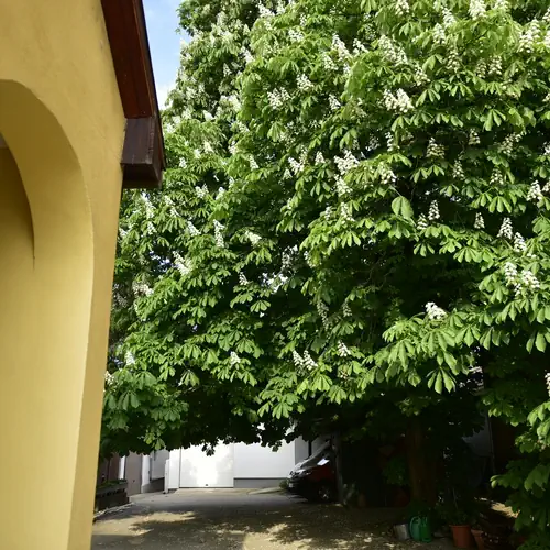 Tornácos Vendégház Kőröshegy 005 kép