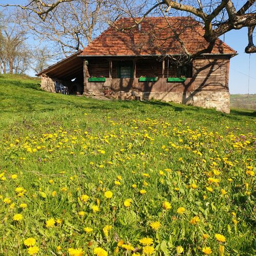 Casa Batrana exterior
