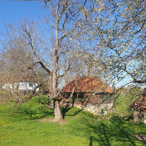 Casa Batrana, gradina