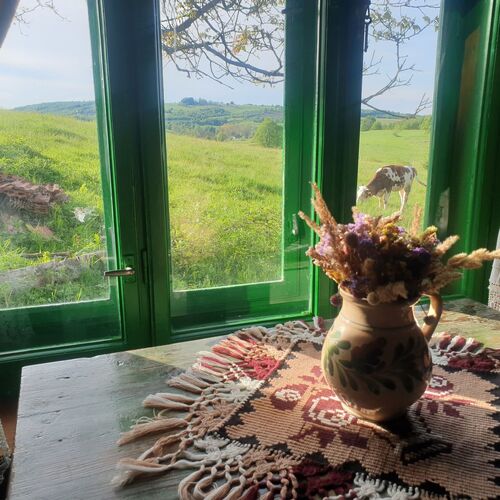 Vedere din living/bucatarie