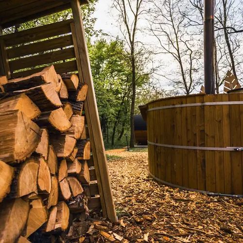 f&uuml;rdőd&eacute;zsa