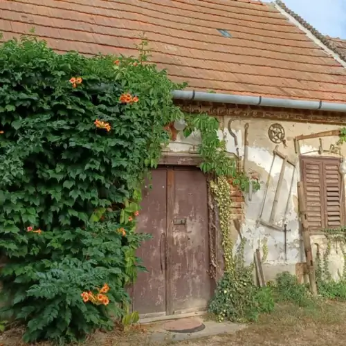 MARaBU Vendégház Balatonberény 017 kép