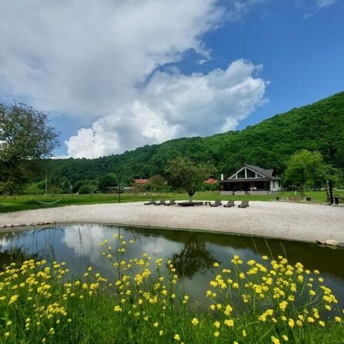 Ciucea185 -Casa din Livadă 