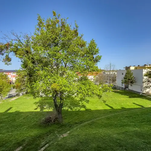 Becky Apartman Komló 002 kép