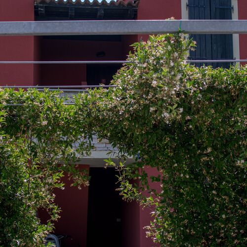 Apartments Faro Savudrija  3