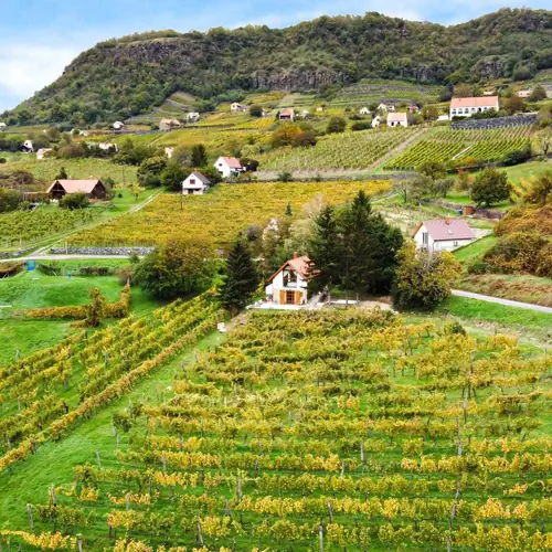 A Hamvas Vend&eacute;gh&aacute;z a Soml&oacute; &ouml;lel&eacute;s&eacute;ben