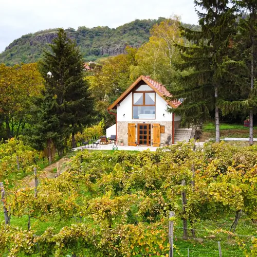 Az egykori borospinc&eacute;ből kialak&iacute;tott k&eacute;tszem&eacute;lyes lak