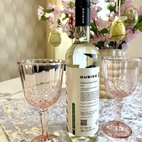 SI Delux Apartman Nyíregyháza 014 kép