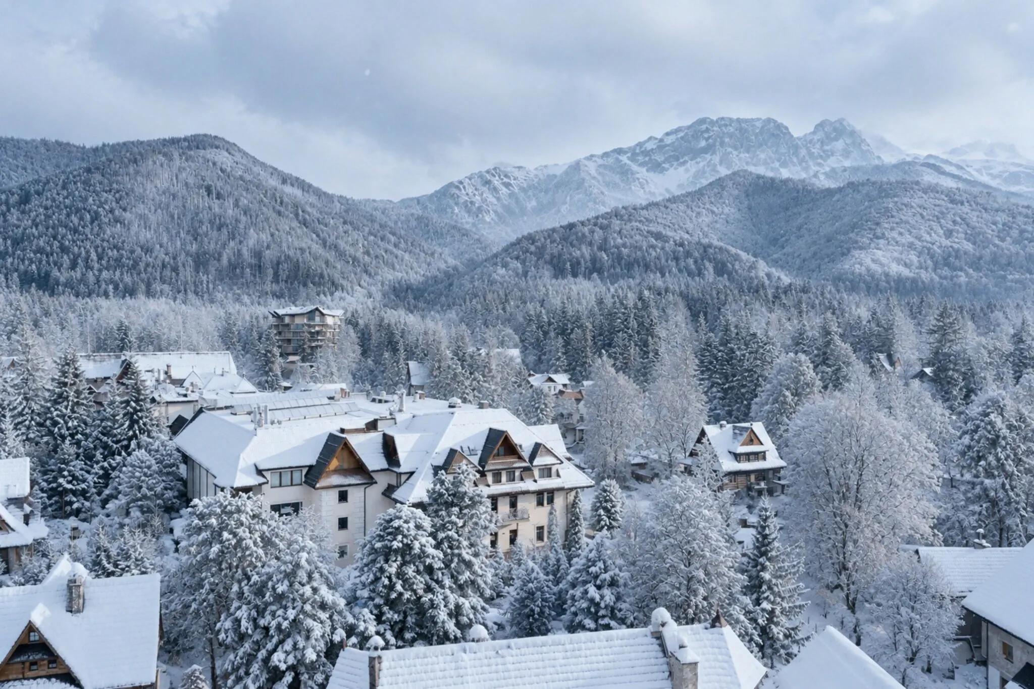 Hotel Belvedere Resort & SPA Zakopane