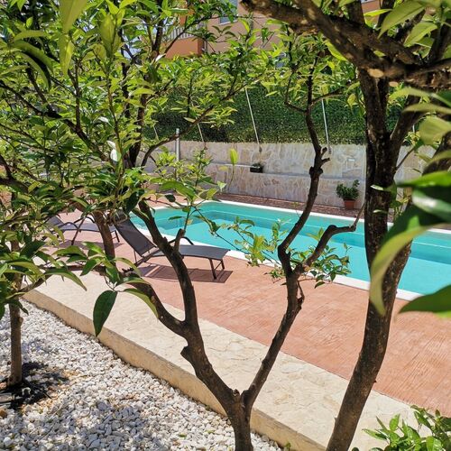 Apartments Piveta Okrug Gornji  4