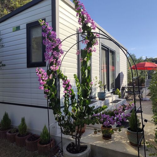 Mobile House Alba Bibinje