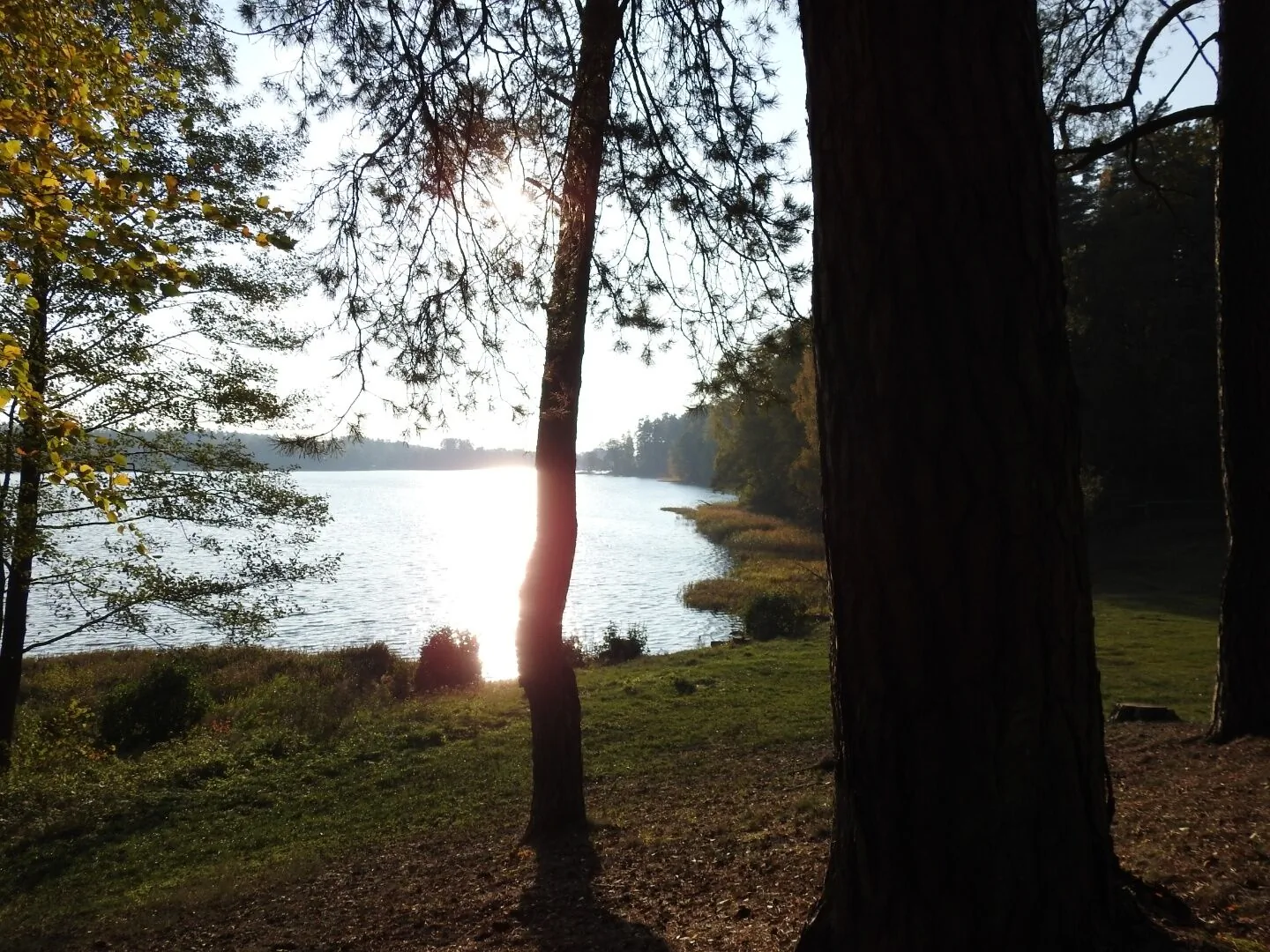 Domki na Chabrowej Augustów