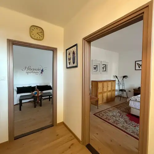 HősCincér Apartman Pilismarót 010 kép