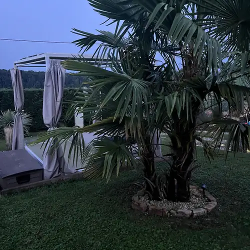 Deseda Bungaló Kaposvár 006 kép