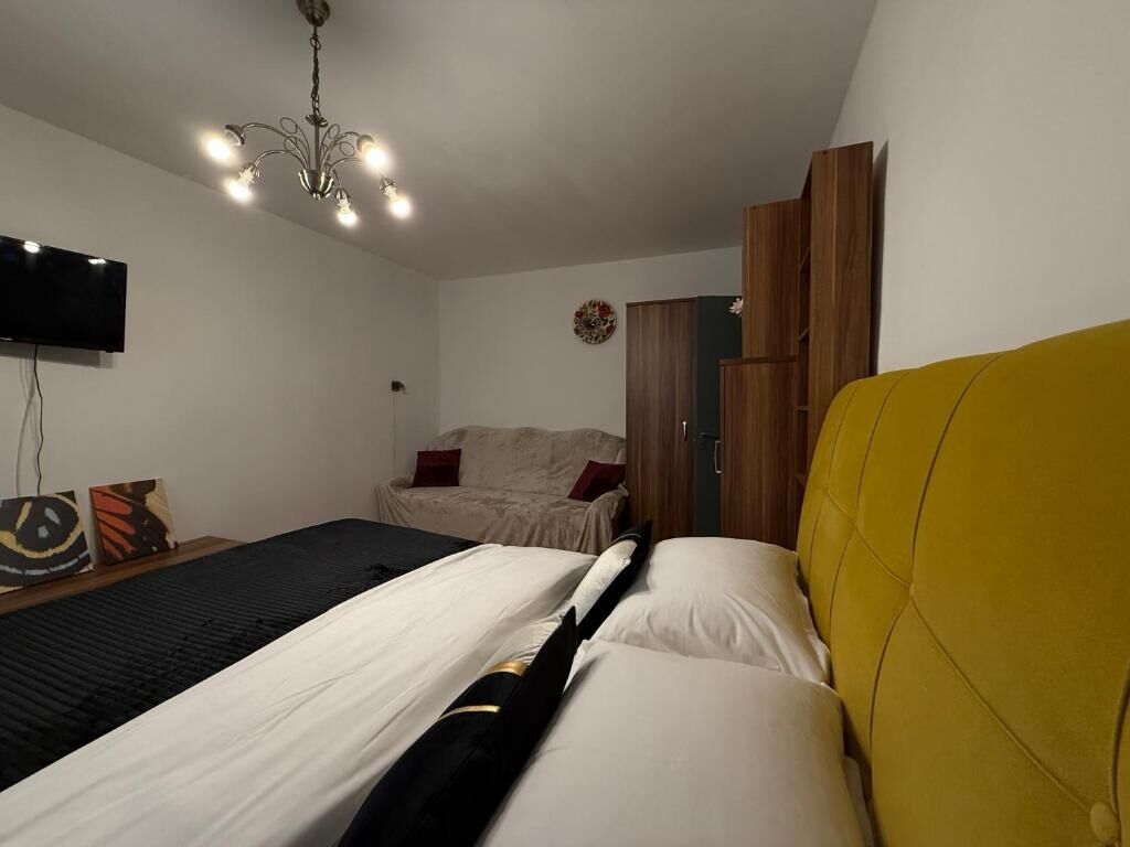 Studio Campus Confort Timișoara