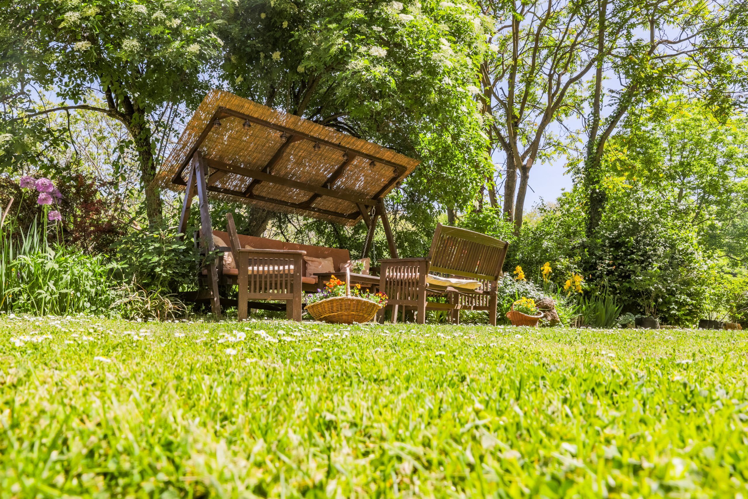 House Mikin Dol Draz