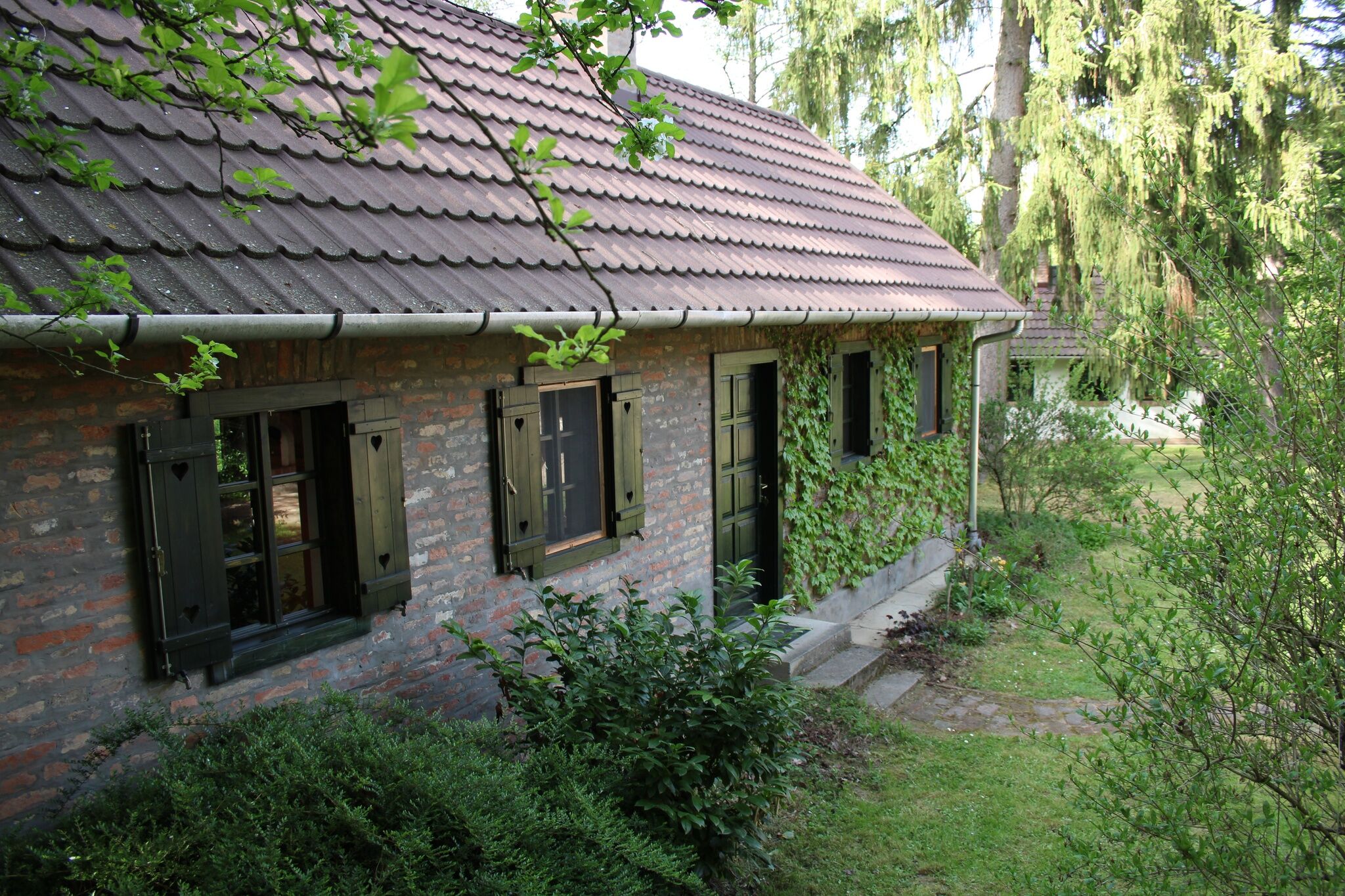 Hanga Tanya Bánya