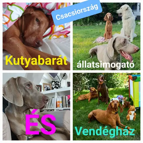 Csacsiország Vendégház Nógrádsá 014 kép