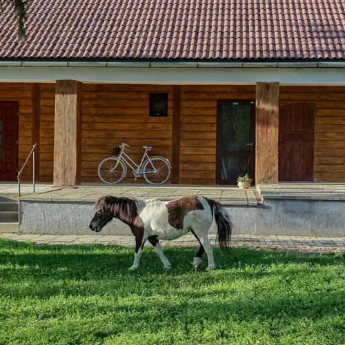 Fekete Gólya Fogadó Szekszárd-Gemenc 038 kép