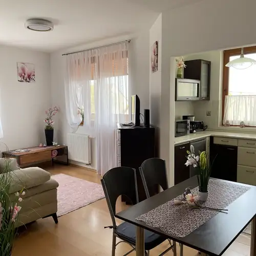 Magnólia Apartman Hegykő 003 kép