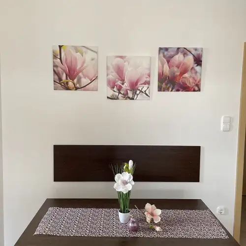 Magnólia Apartman Hegykő 005 kép