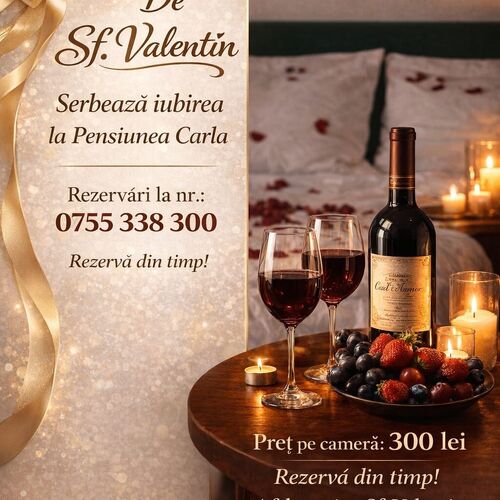 Pensiunea Carla Sărata-Monteoru