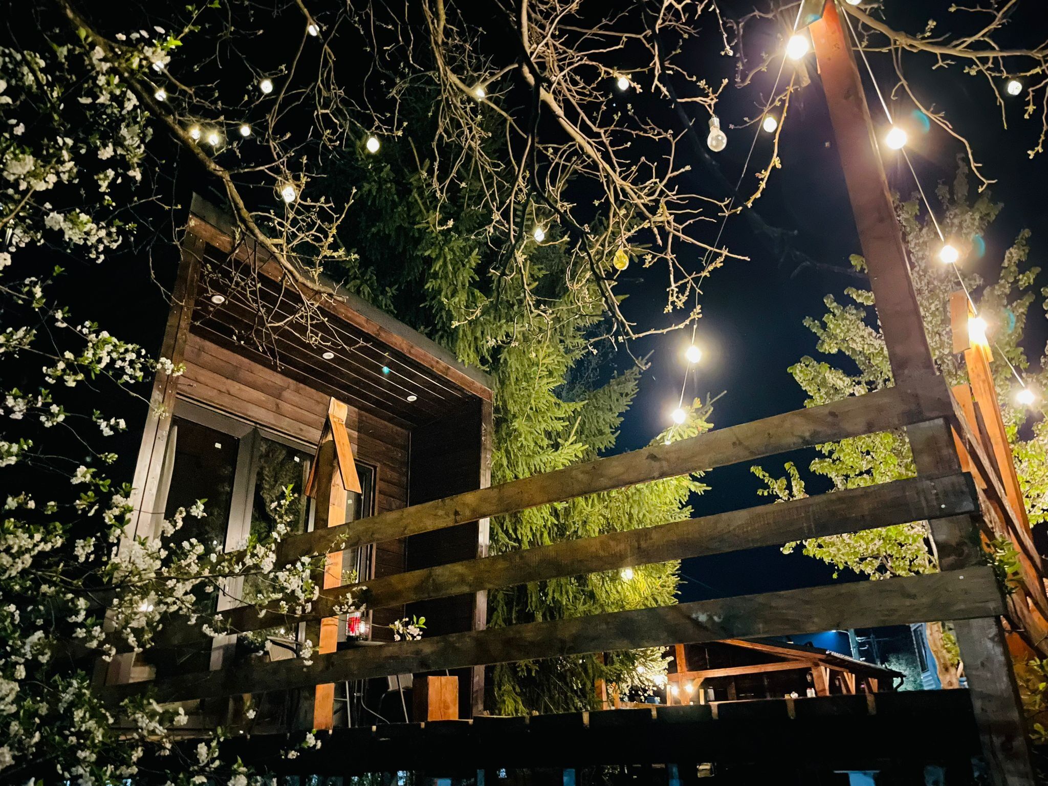 Cabana Owels Nest Borșa