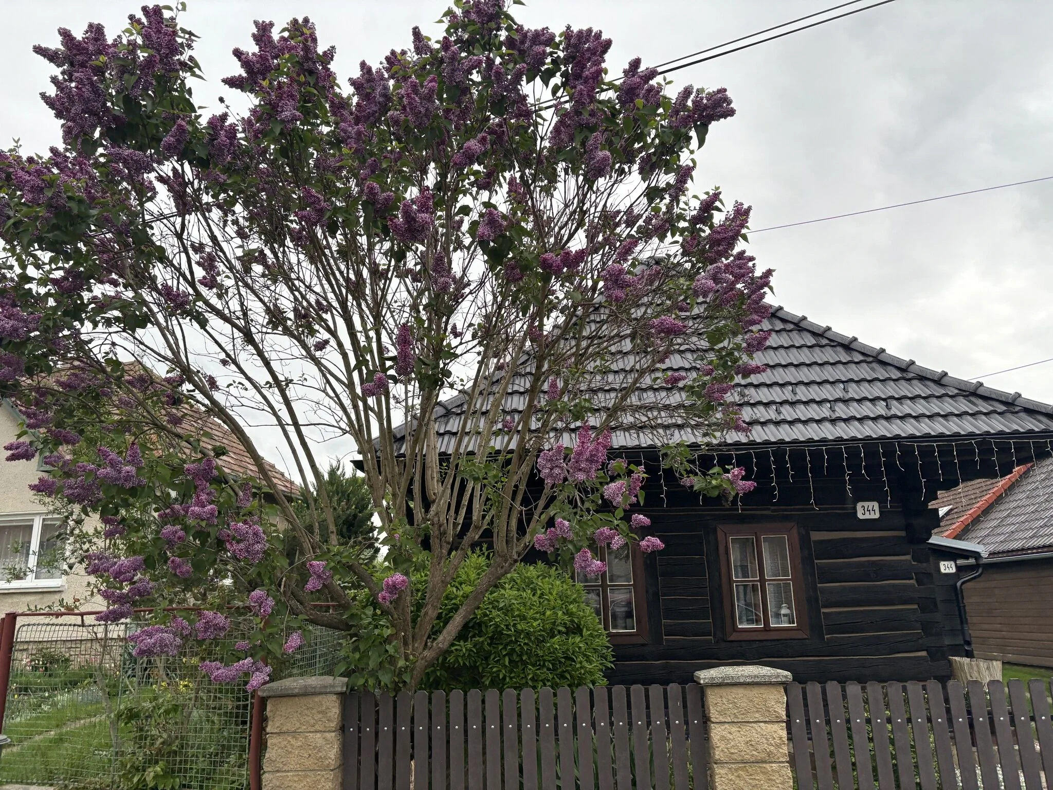 Drevenica Raj Bystrička