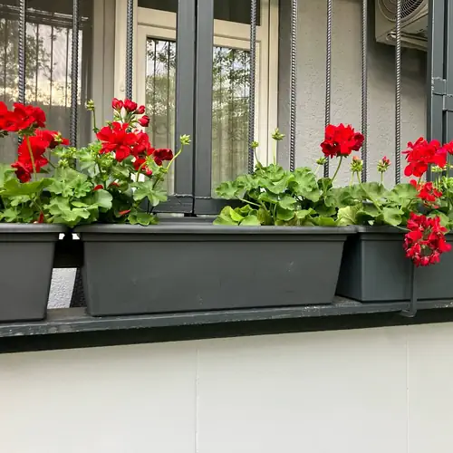 Központi Apartman 2. Kiskunfélegyháza 028 kép