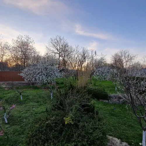 Rubato Vendégház Dudar 011 kép