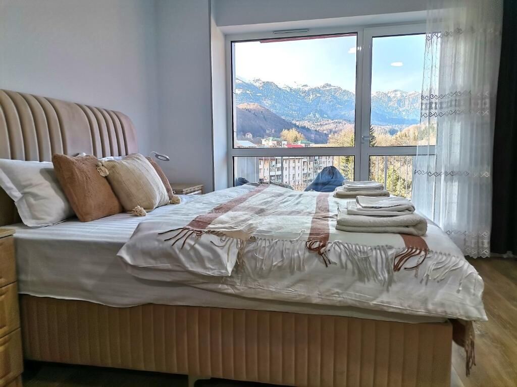 Tutu Apartment Sinaia