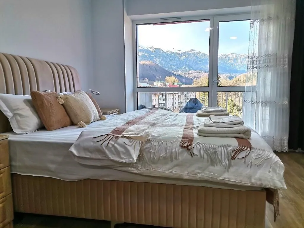 Tutu Apartment Sinaia