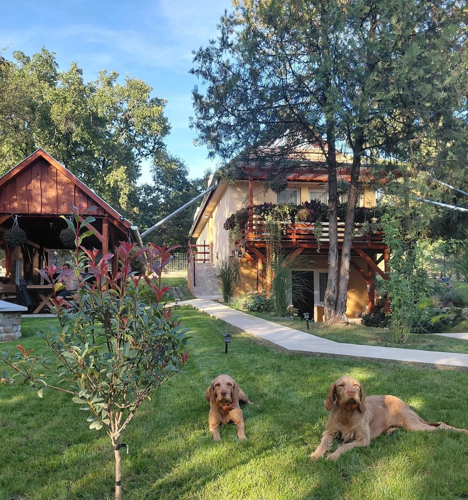 Banya-Tanya Vendégház Nagymaros