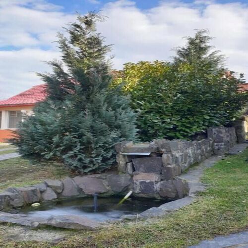 Casa cu Fântână Borlești