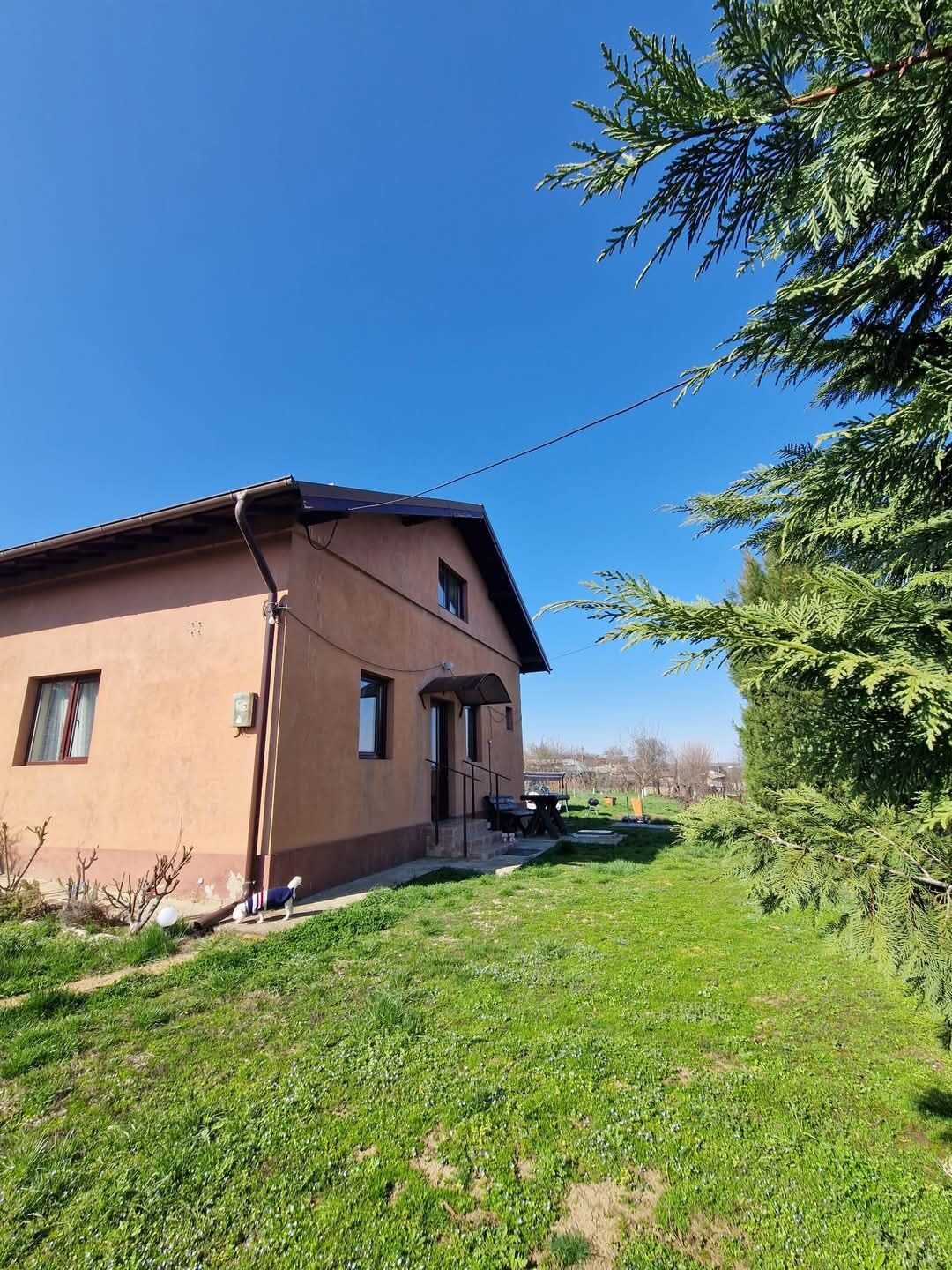 Family's UpHouse Iepureşti